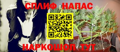 стаф Аргун