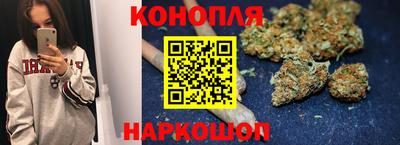 стаф Аргун