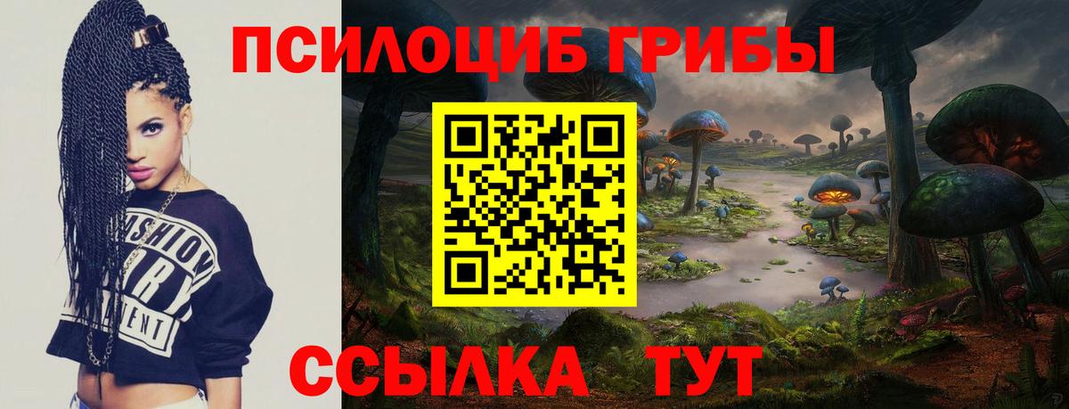 Баксан  Галлюциногенные грибы ЛСД  Галлюциногенные грибы прущие грибы  Вход с VPN 